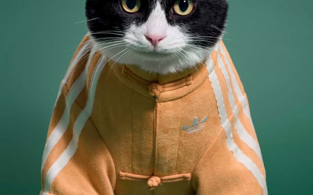 adidas Celebra el Año Nuevo Lunar con una Innovadora Colección de Moda para Mascotas en China