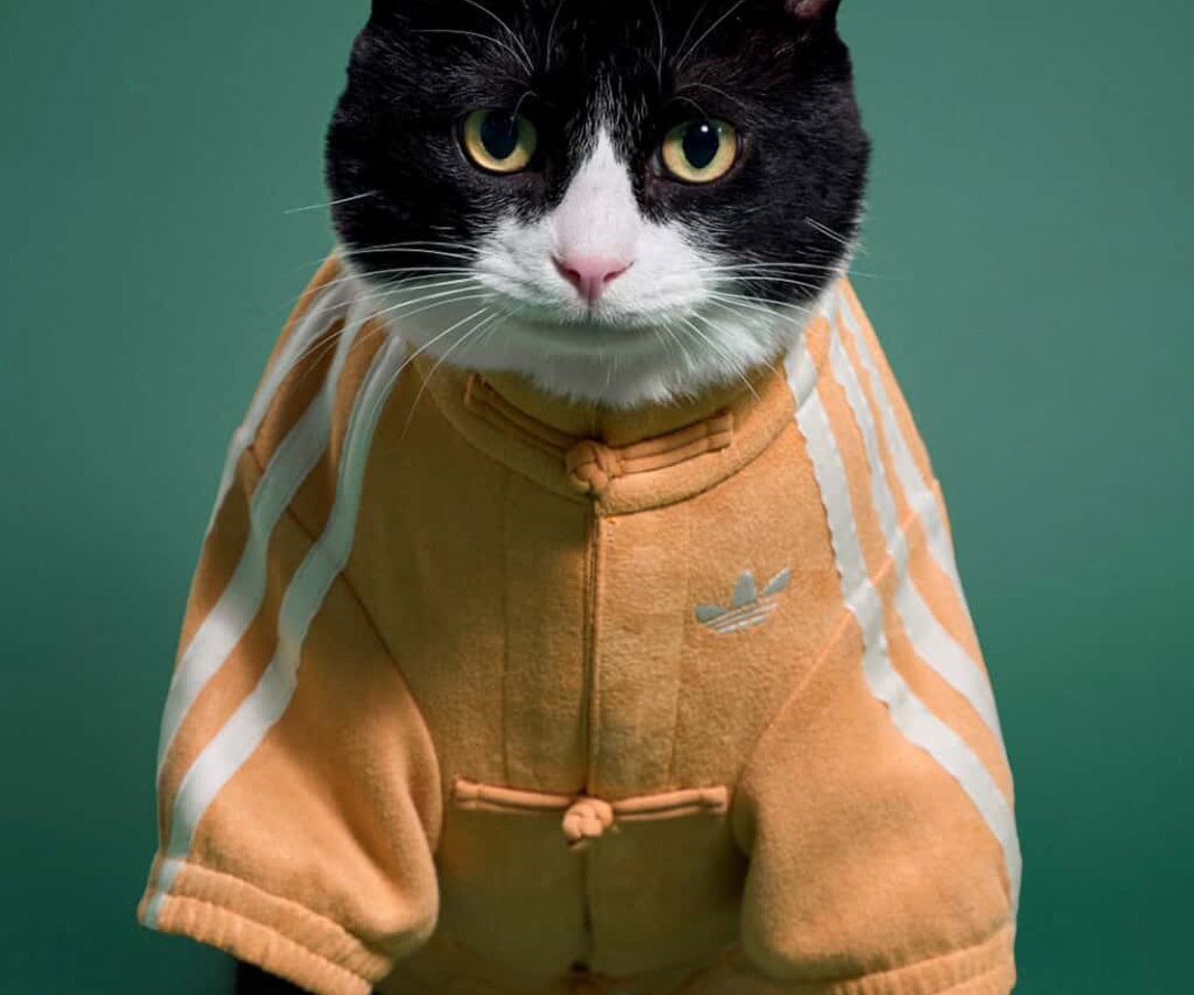 adidas Celebra el Año Nuevo Lunar con una Innovadora Colección de Moda para Mascotas en China