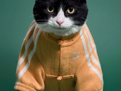 adidas Celebra el Año Nuevo Lunar con una Innovadora Colección de Moda para Mascotas en China